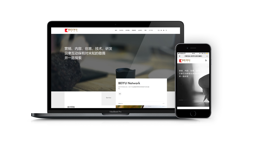 網(wǎng)站開(kāi)發(fā)